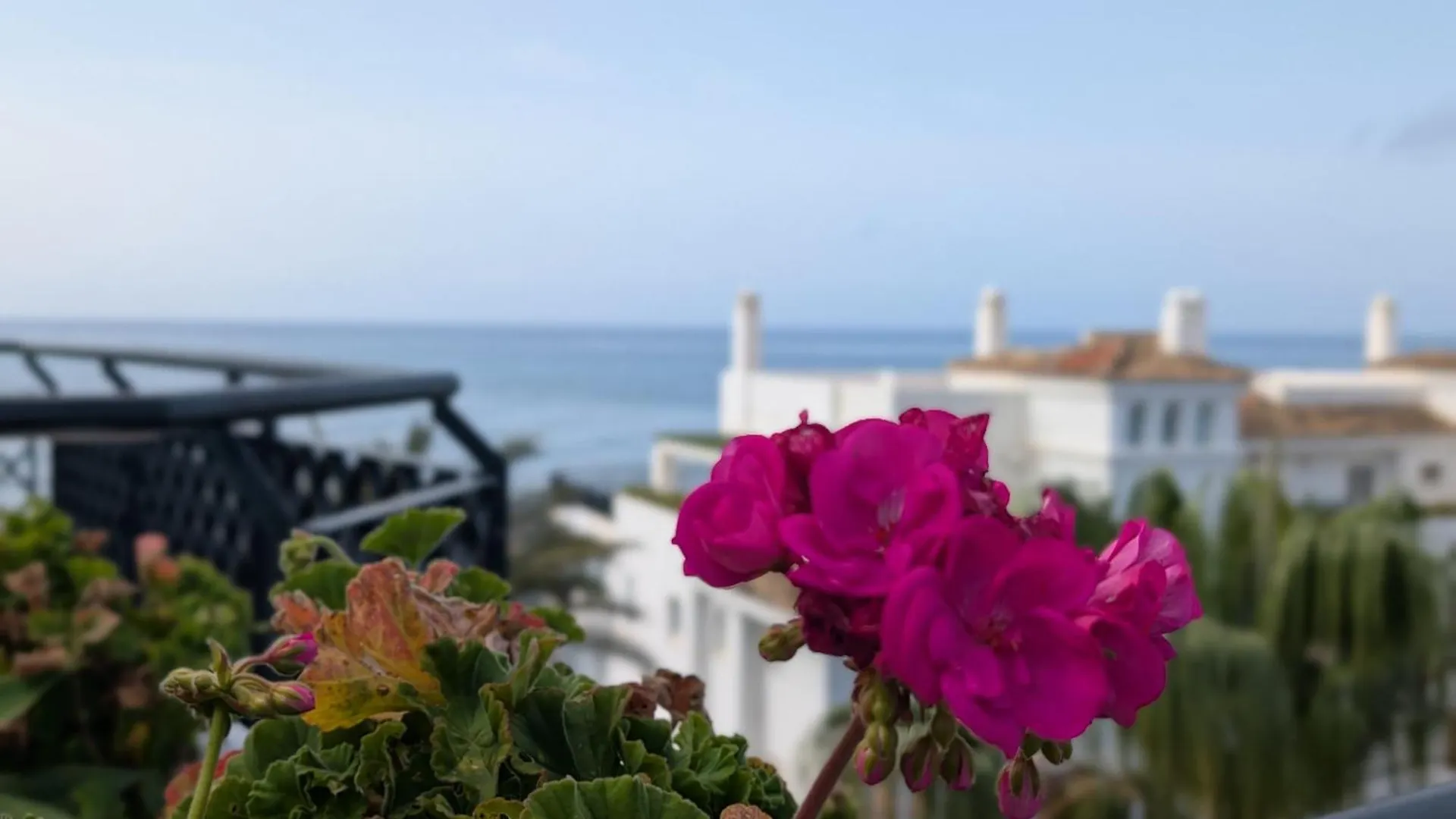 Beautiful First Line Penthouse With Sea View Mi Capricho Spanien